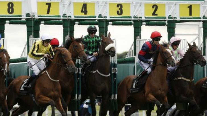 Timeform pick out three bets from South Africa on Thursday